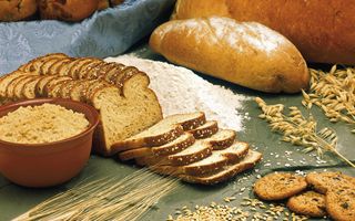 Millbio si rafforza a livello internazionale con la maggioranza della statunitense Cain Food Industries