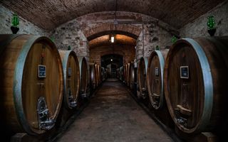 Vinitaly, ENEA presenta Guida per l'efficienza energetica delle aziende vitivinicole