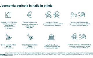 http://images.teleborsa.it/t/stabile/289567.t.W320.H200.M4.jpg