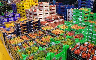UE, surplus agroalimentare tiene nonostante prezzi elevati gonfino importazioni chiave