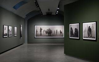 Gallerie d'Italia-Torino: apre domani la mostra 