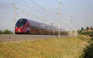 Italo e WWF Italia insieme per promuovere mobilità più sostenibile, alla scoperta della biodiversità italiana