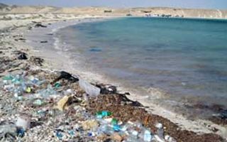 Plastica, impariamo a conviverci. I consigli di ENEA: Privilegia, Usa, Riduci, Evita