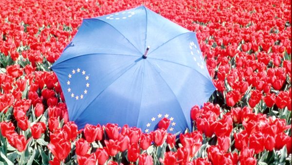 Crescita dell'Eurozona al top dell'anno grazie a manifattura e servizi