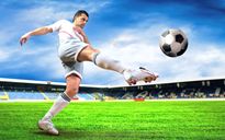 Scarpini d’oro e materassi di lana