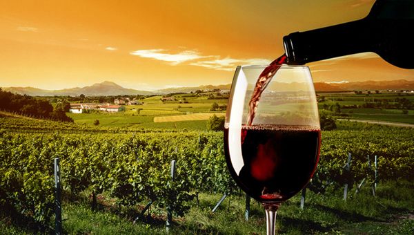 Vino, 2015 anno record per l'export italiano