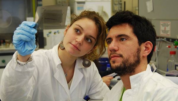 Lavoro, Istat: 439mila occupati in più nel secondo trimestre