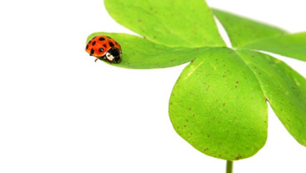 Zucchi, alcuni soci non aderiranno a ricapitalizzazione