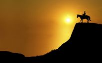 Il falò delle vanità