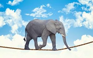 Una riflessione su quello che poteva essere e non è mai stato.