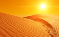 Una strada in pieno deserto