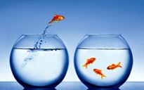 L'inversione dei poli