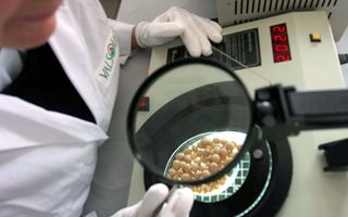 Valsoia: ricavi in crescita nel primo trimestre trainati dall'estero, stabili in Italia