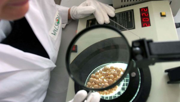 Valsoia: ricavi in crescita nel primo trimestre trainati dall'estero, stabili in Italia