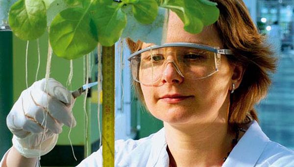 Fondi etici, importante alternativa di investimento