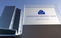 Floppone... il cavallo non beve più