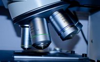 La supplentite dei ricercatori universitari va curata con la riforma del reclutamento