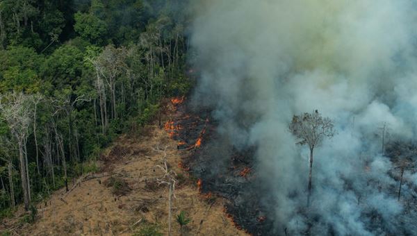 Ecomafie 2026: calano i reati ambientali, ma cresce il business illegale