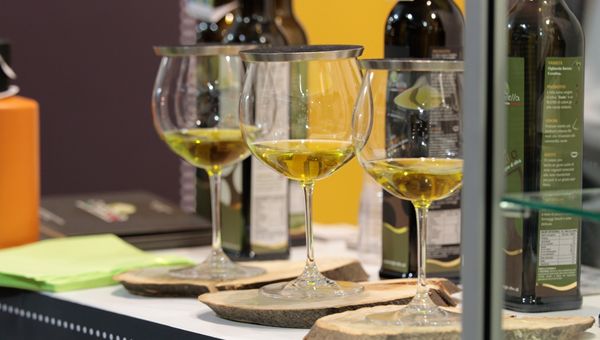 Agricoltura, scade ultimatum dazi USA. Coldiretti scrive a UE