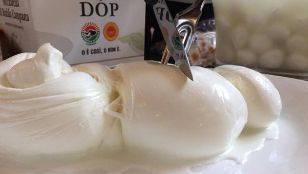 "Fake mozzarella", crescono le frodi sul web