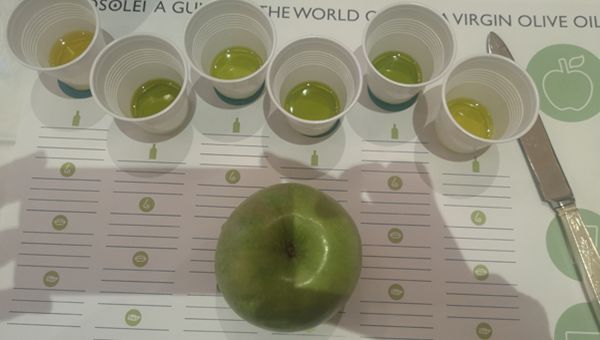 Flos Olei, premiate a Roma le migliori aziende olearie Top Quality