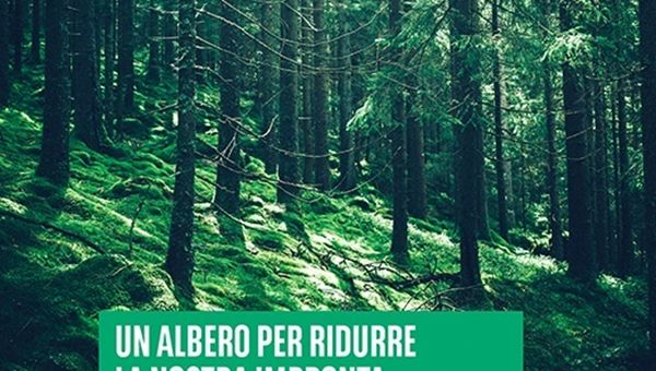 BNL-BNP Paribas, "+ Alberi e - CO2": 100mila nuove piante con i certificate