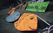 Le Sardine costeranno carissime