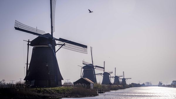 L'Olanda dice no agli Eurobond: sì a Mes ma con condizioni