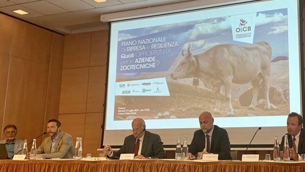 Zootecnia, OICB: "Settore sia protagonista nel Pnrr. Filiera vale 40 miliardi"