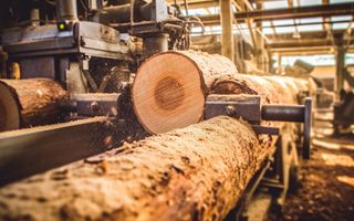 Bioeconomia: in Europa vale 3.174 miliardi di euro nel 2025, in Italia 433,3 miliardi