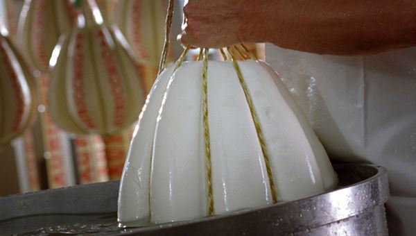 Crescita Sostenibile, Intesa Sanpaolo e Sace a supporto del Gruppo Auricchio