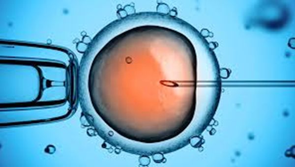La fecondazione eterologa diventa realtà anche in Italia