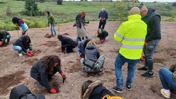 Autostrade per l'Italia, nuova foresta urbana a Mezzocammino