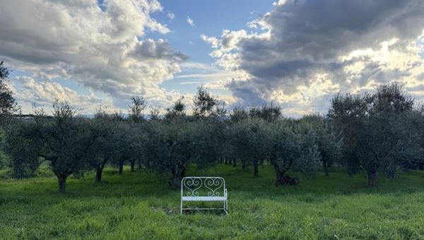 "L’Italia deve tornare a ispirare": Riccardo Freddo porta l’arte globale nei silenzi dei borghi nostrani