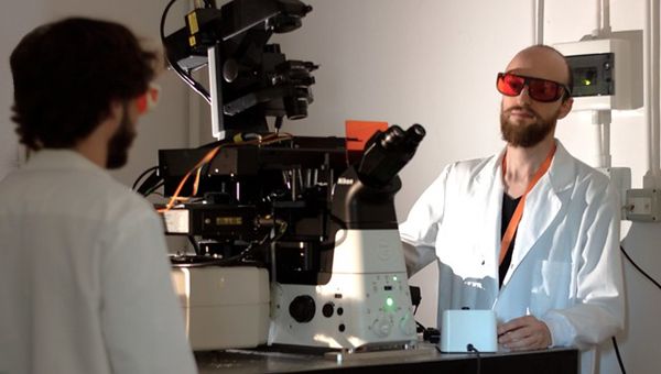 Il Politecnico di Milano si aggiudica due ERC Starting Grant