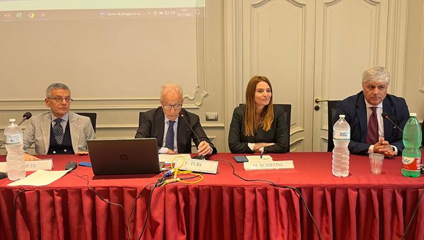 Commercialisti, Schifone (FdI):"Corretta grave ingiustizia subita dai liberi professionisti"