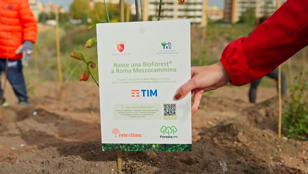 Tim pianta 400 nuovi alberi a Roma