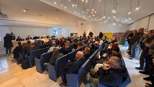 ZES e ZLS strumenti di politica economica. Crescita collegata a rating, investimenti e lavoro