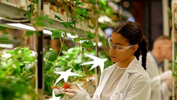 BEI: 335 milioni euro a sostegno imprese italiane con BNL BNP Paribas