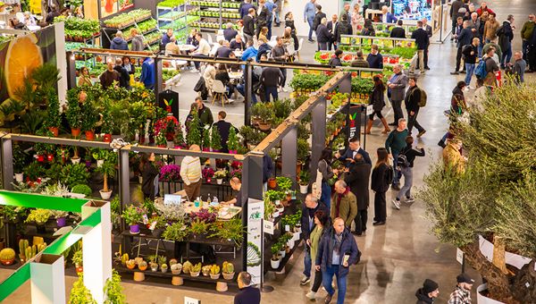 Myplant & Garden: torna in Fiera a Milano-Rho la vetrina internazionale del florovivaismo