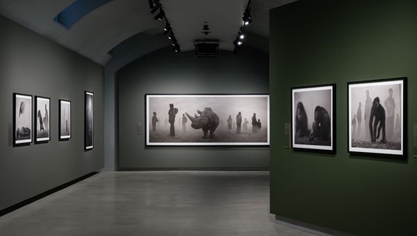 Gallerie d'Italia-Torino: apre domani la mostra "Nick Brandt. The Day May Break"