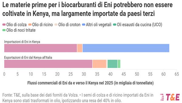 Biocarburanti Eni in Kenya: rischi per agricoltori e sicurezza alimentare