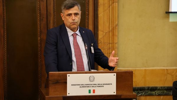 Maltempo e frane in Abruzzo e Molise: appello urgente per salvare agricoltura e imprese