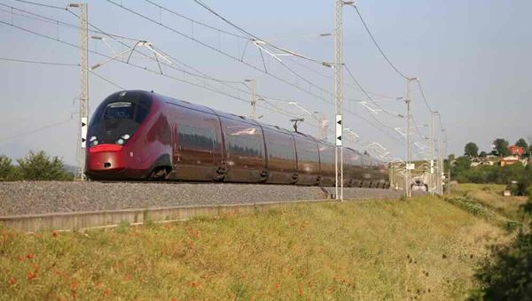 Italo e WWF Italia insieme per promuovere mobilità più sostenibile, alla scoperta della biodiversità italiana