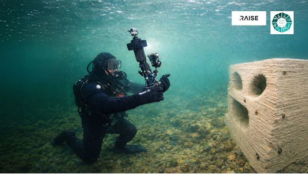 ENEA mette in mare tre nuovi bio-reef stampati in 3D per rigenerare l'abiente marino
