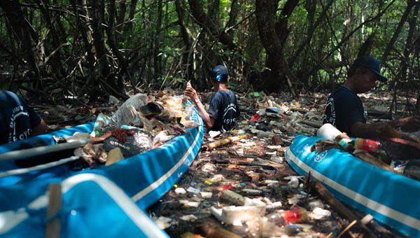 Pettenon-Ogyre: oltre 36mila kg di plastica raccolti