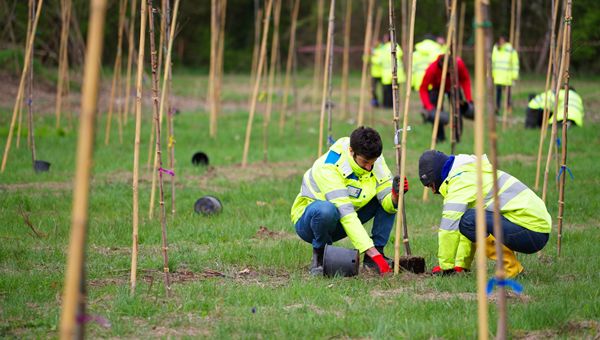 ASPI estende la forestazione con 60 ettari di nuove aree verdi nel biennio 2024/2025
