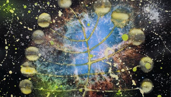 IRAE di Yourban 2030 approda a New York e rafforza il dialogo tra arte, editoria e ambiente