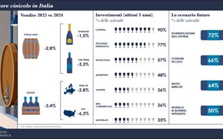 Vino italiano: vendite in calo nel 2025 ma il settore resta competitivo e si trasforma