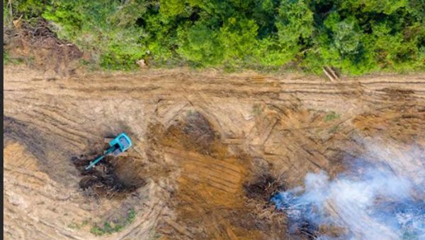 Etifor, report “Deforestation Made in Italy”: 31mila ettari di foreste persi ogni anno